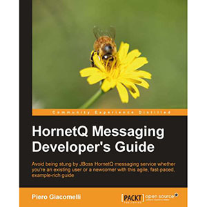 HornetQ Messaging Developer’s Guide