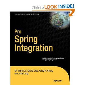 Pro Spring Integration