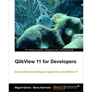 QlikView 11 for Developers