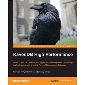 RavenDB High Performance