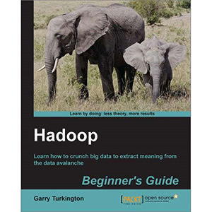 Hadoop: Beginner’s Guide