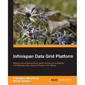 Infinispan Data Grid Platform