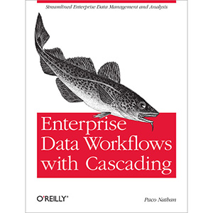 Enterprise Data Workflows with Cascading