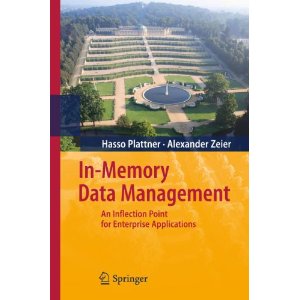 In-Memory Data Management