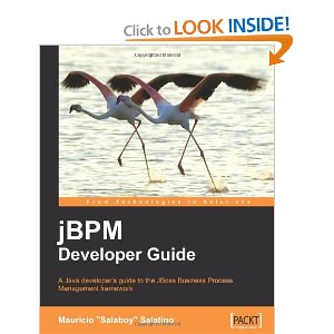 jBPM Developer Guide 