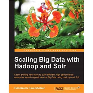 Scaling Big Data with Hadoop and Solr