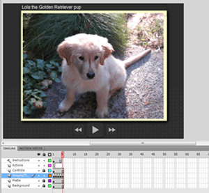 Flash CS5: The Missing Manual