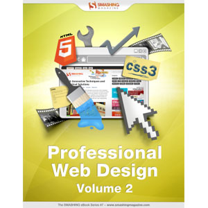 Professional Web Design, Volume 2