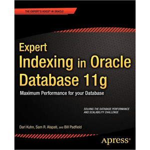 Expert Indexing in Oracle Database 11g