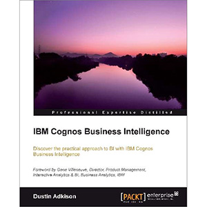 IBM Cognos Business Intelligence