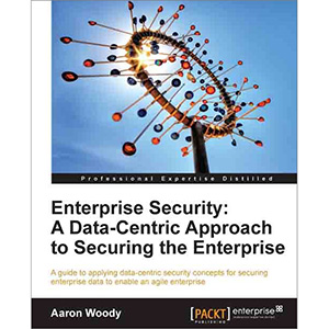 Enterprise Security: A Data-Centric Approach to Securing the Enterprise