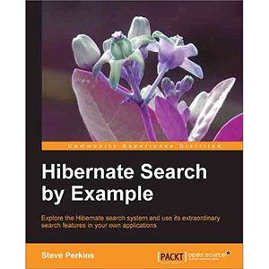 Hibernate Search by Example