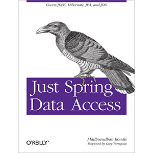 Just Spring Data Access