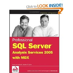 Professional SQL Server Analysis Services 2005 with MDX