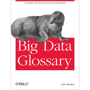 Big Data Glossary