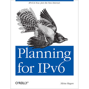 Planning for IPv6